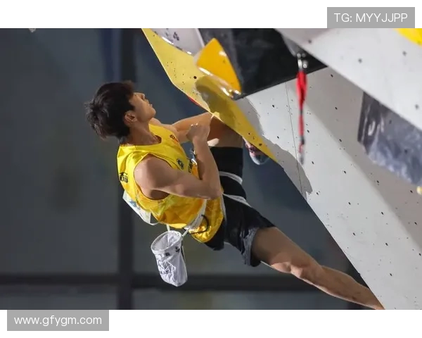 武汉攀岩队荣登全国攀岩团队协作排行榜第五名的辉煌成就