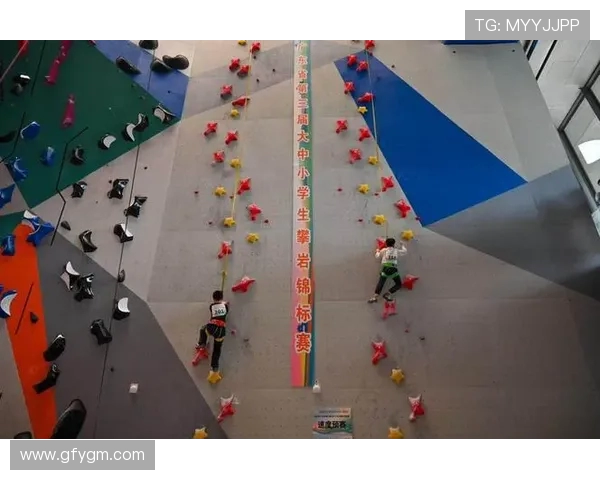 深圳攀岩队在全国攀岩状态排行榜中荣获第六名的佳绩 深圳攀岩队在全国攀岩状态排行榜中荣获第六名的佳绩