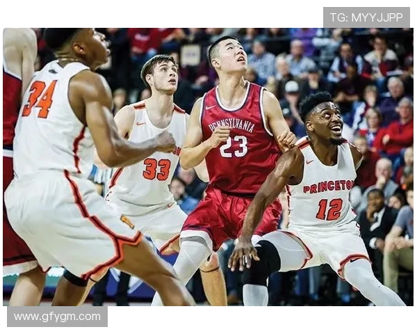 王泉泽：从年轻球员到篮球明星的成长之路与未来展望