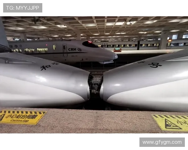 重庆飞盘队的转型之路与未来发展展望全景解析 重庆飞盘队的转型之路与未来发展展望全景解析