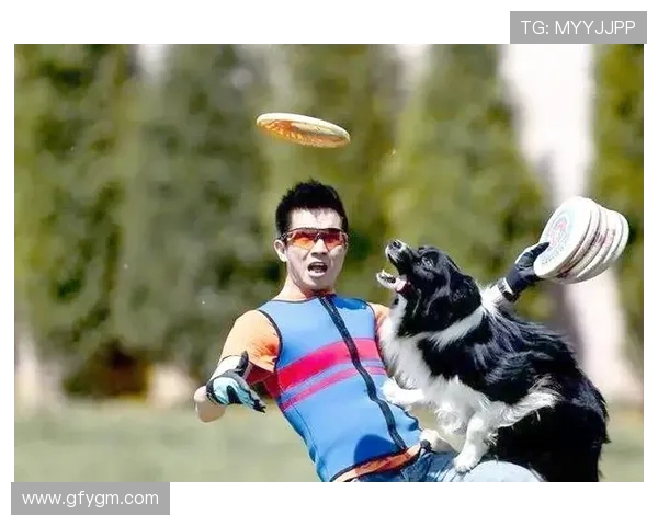 飞盘新手必看：灵活性训练与技巧全面入门指南