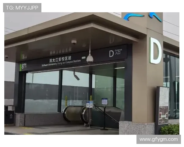 成都滑板队运营分析：成功经验与面临挑战的全面探讨